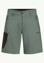 Active Track Shorts Softshell-Shorts für Herren Hedge Green