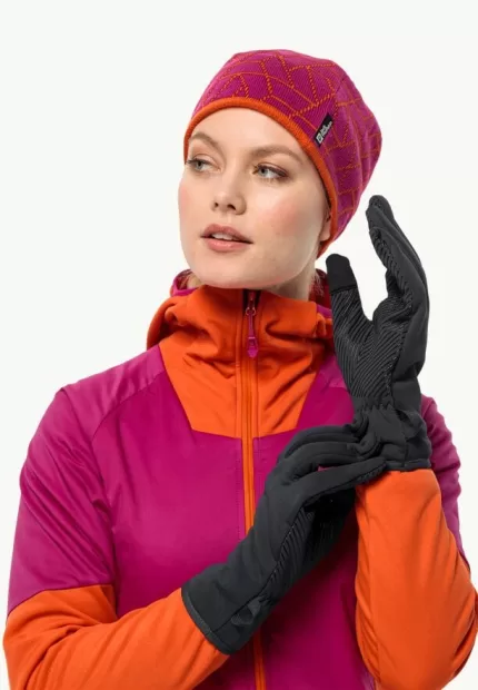 Alpspitze 3in1 Glove Skihandschuhe Phantom