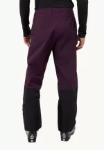 Alpspitze Tour 3l Pants Hardshell-Skihose mit RECCO®-Tracking-System Herren midnight plum