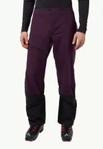 Alpspitze Tour 3l Pants Hardshell-Skihose mit RECCO®-Tracking-System Herren midnight plum