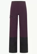 Alpspitze Tour 3l Pants Hardshell-Skihose mit RECCO®-Tracking-System Herren midnight plum