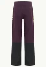 Alpspitze Tour 3l Pants Hardshell-Skihose mit RECCO®-Tracking-System Herren midnight plum