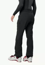 Alpspitze Tour Pants Herren-Softshell-Skihose black