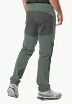 Andur Pants Herren-Wanderhose Hedge Green