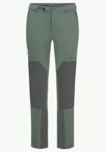 Andur Pants Herren-Wanderhose Hedge Green