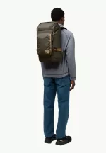 Dachsberg Tagesrucksack island moss