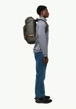 Dachsberg Tagesrucksack island moss