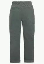 Desert Pants Lange Hose für Kinder slate green