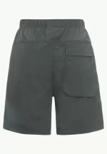 Desert Shorts Kindershorts slate green