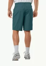 Gravex Shorts Herren-Radhose Emerald