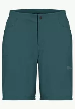 Gravex Shorts Herren-Radhose Emerald