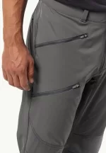 Hiking Alpine Pants Herren-Wanderhose slate