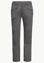 Hiking Alpine Pants Herren-Wanderhose slate