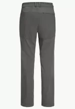 Hiking Alpine Pants Herren-Wanderhose slate