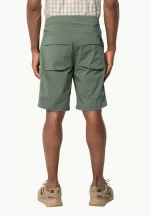 Wanderthirst Shorts Herrenshorts Hedge Green