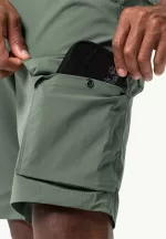 Wanderthirst Shorts Herrenshorts Hedge Green