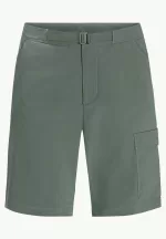 Wanderthirst Shorts Herrenshorts Hedge Green