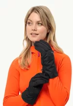 Winter Basic Glove Wasserdichte Handschuhe black